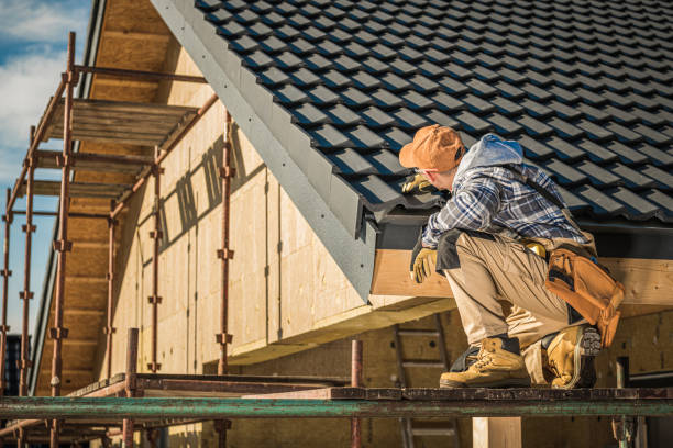 Steel Roofing in Palmview South, TX