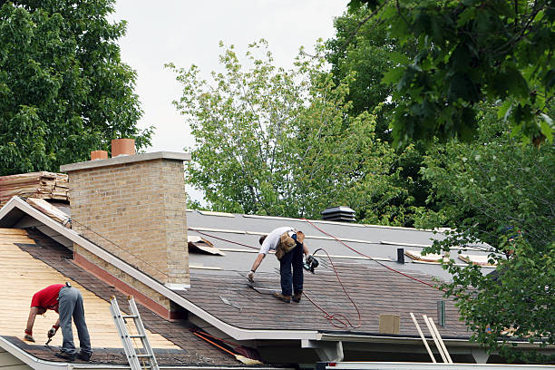 Roof Insulation in Palmview South, TX